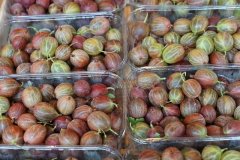 早起3不要，飯后3不急，睡前3不宜