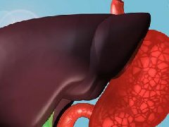 學好中醫(yī)這十招肝好你也好